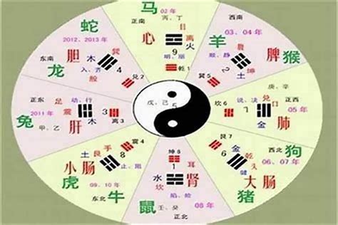 姿五行|姿字的五行是什么,姿的五行属性及吉利寓意